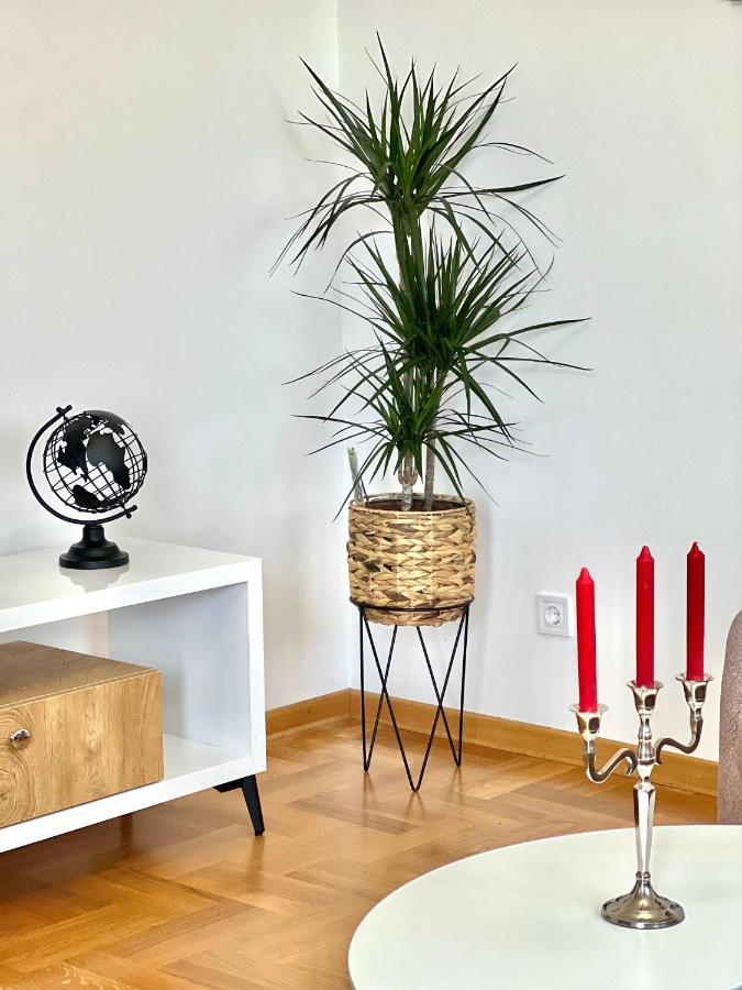 Azure Apartments 부드바 외부 사진